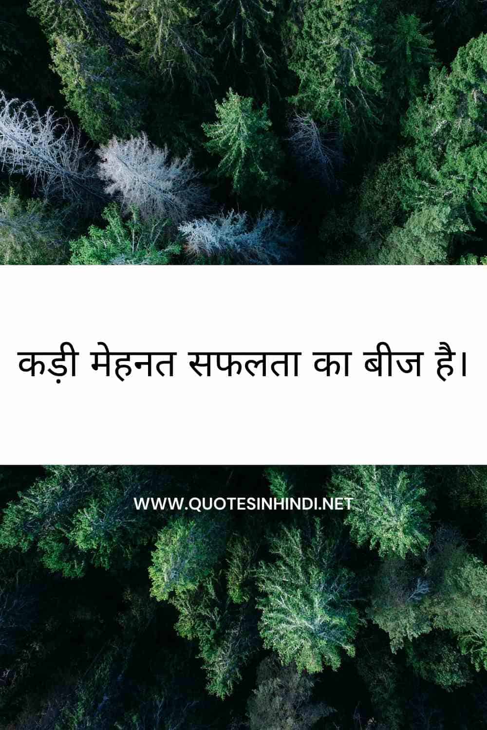 Hard Work Motivational Quotes In Hindi1 14