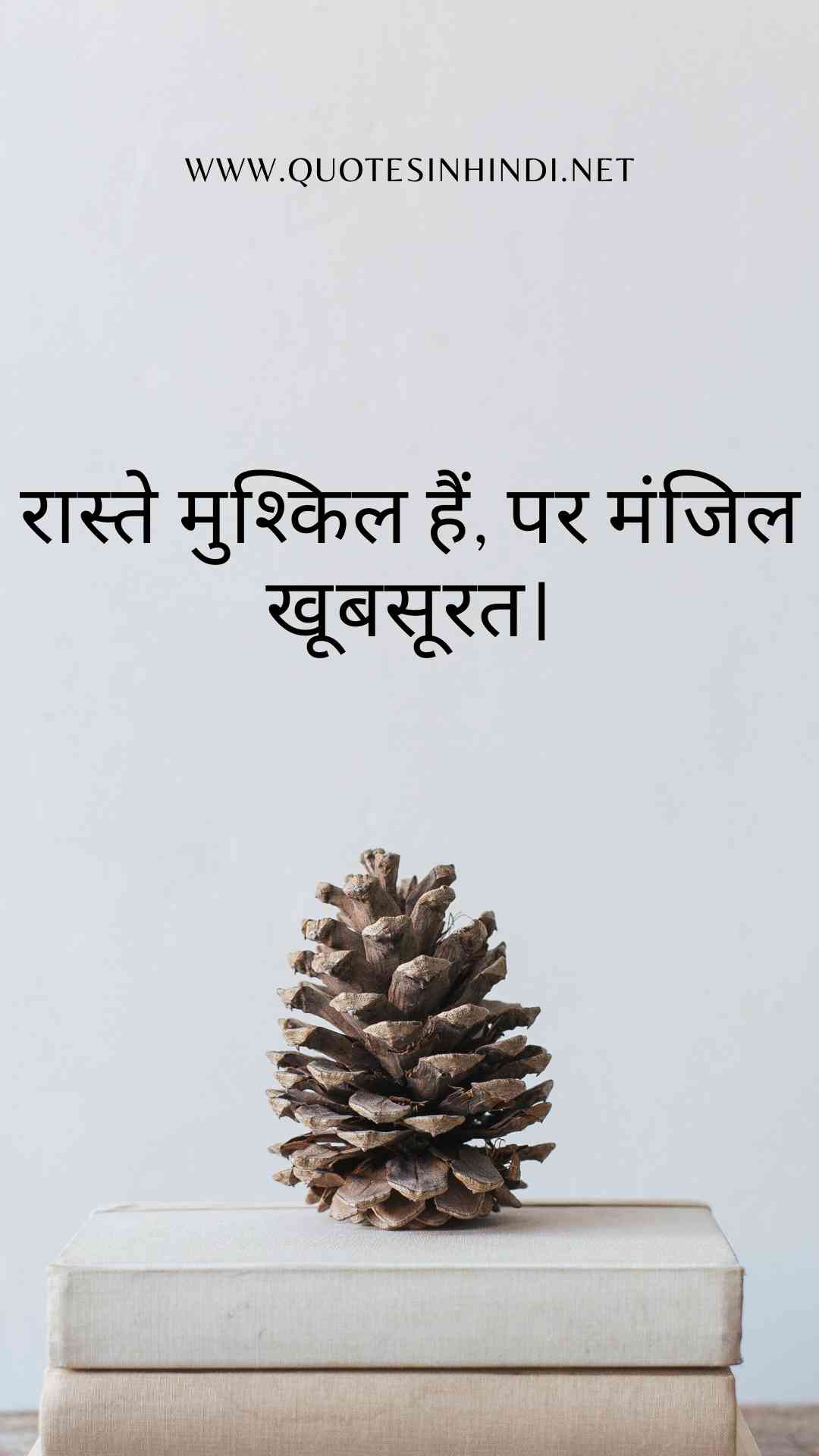 Struggle Motivational Quotes In Hindi1 24