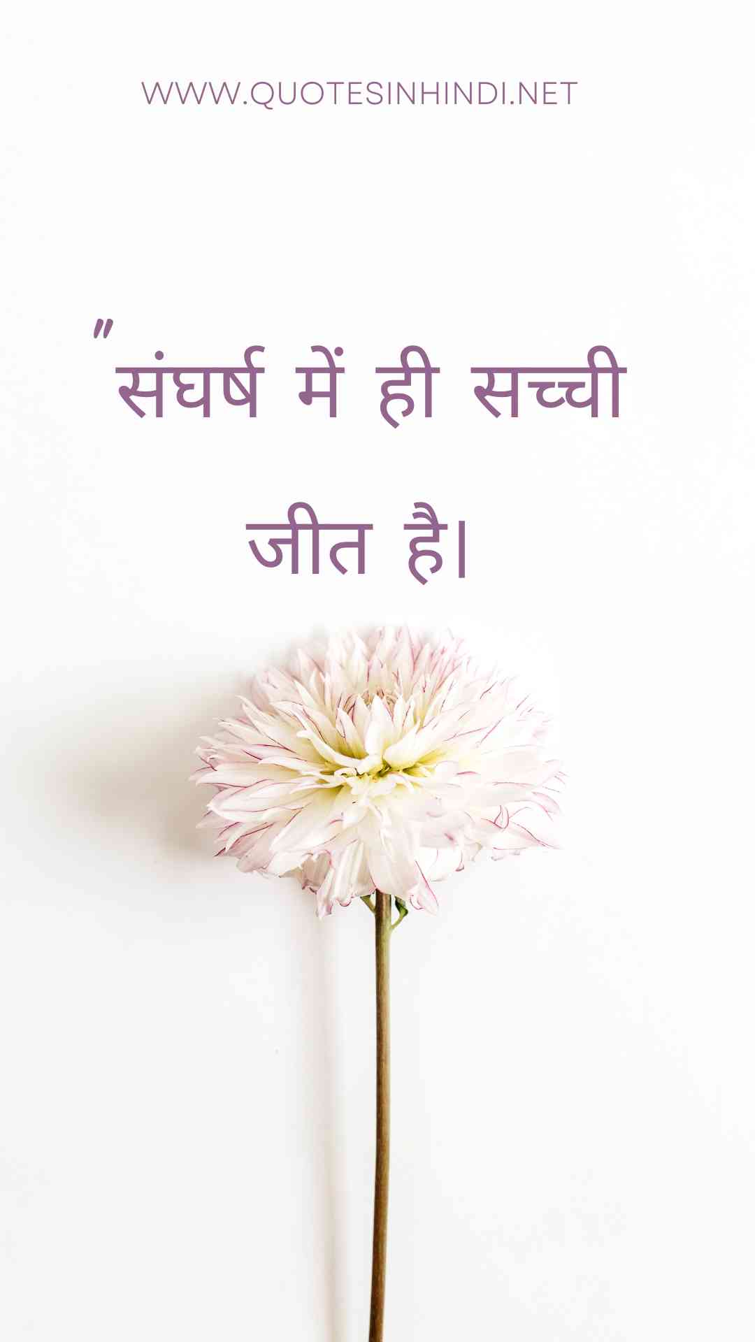 Struggle Motivational Quotes In Hindi1 25